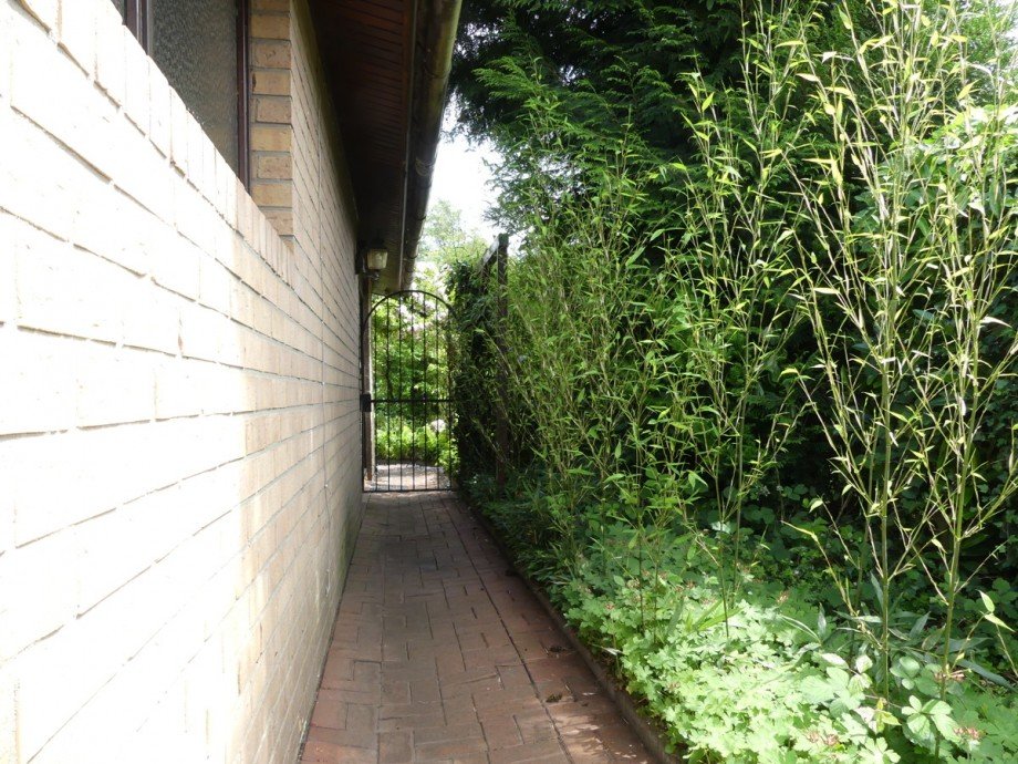 seitlicher Zugang Ferienhaus Wettringen